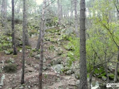 Bosque Plateado de La Jarosa; tiempo sierra de madrid circo de gredos ruta senderos en la palma send